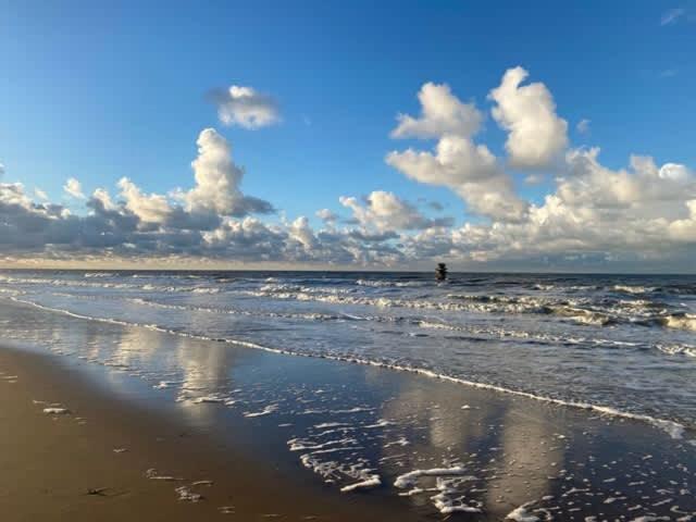 Seaview With Style Apartment Ostend